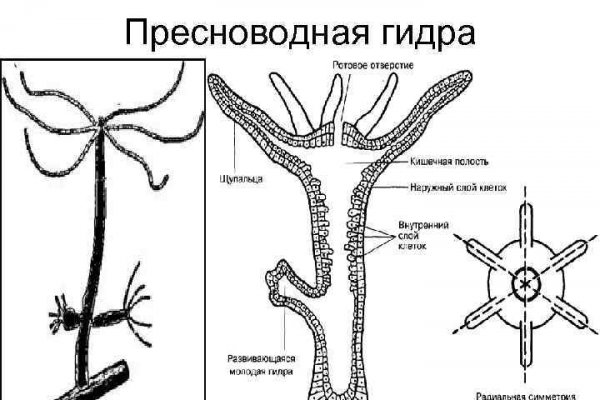 Кракен даркнет маркетплейс