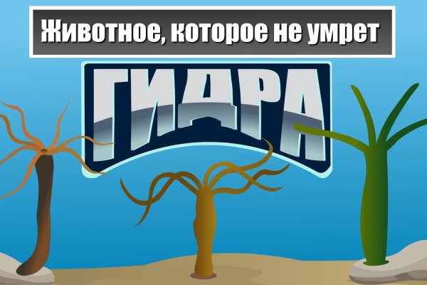 Ссылка на кракена для тора